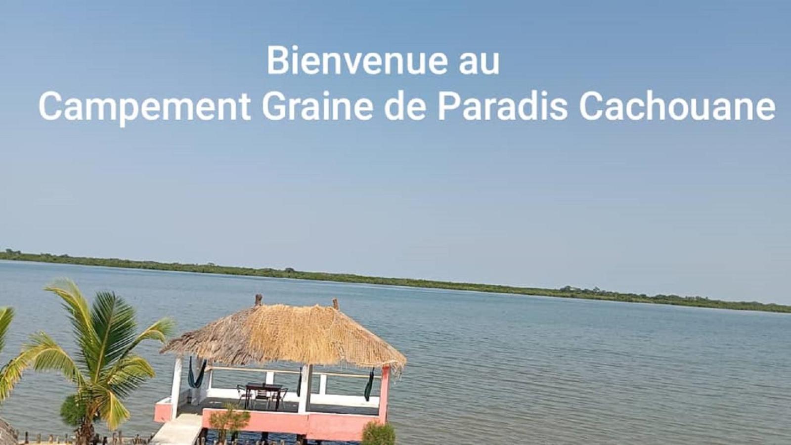Kachiouane Campement Graine De Paradis מראה חיצוני תמונה